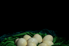 1_sacred-ground-studio-6-2149-Edit