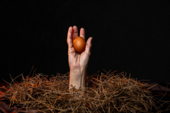 20260121-sacred-ground-5-AJ2A1738-4