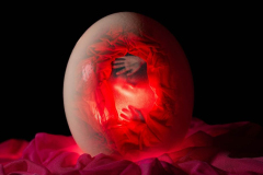 sacred-ground-studio-3-1528