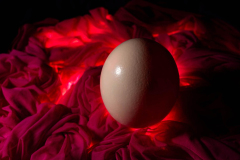 sacred-ground-studio-3-1539