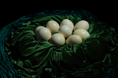 sacred-ground-studio-6-2156